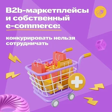 B2b-маркетплейсы и собственный e-commerce: конкурировать нельзя сотрудничать 