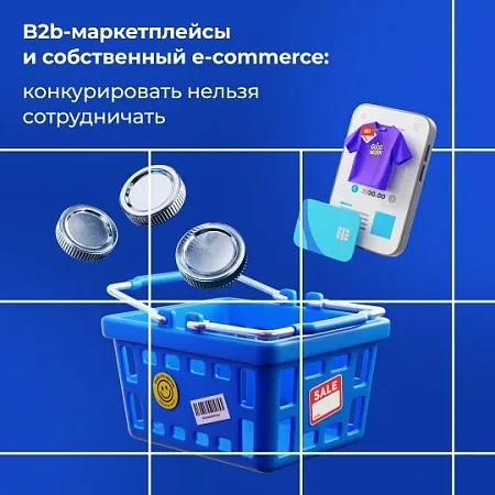 B2b-маркетплейсы и собственный e-commerce: конкурировать нельзя сотрудничать 