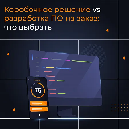 Коробочное решение vs разработка ПО на заказ: что выбрать