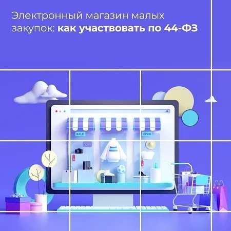 Электронный магазин малых закупок: как участвовать по 44-ФЗ 